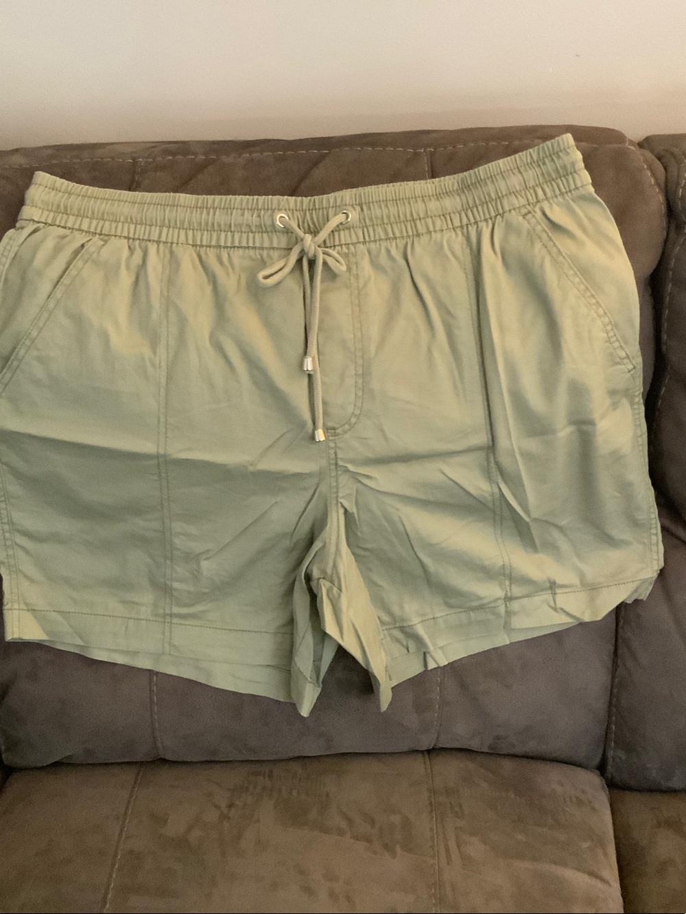 Craft & BarrowLight Sage Elastic Waist Drawstring Shorts